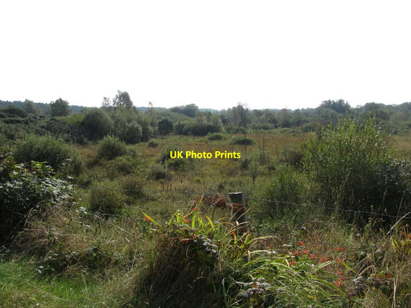 Photo 6"x4" View south across Annaghmare Bog from the Kiltybane Road Cullyhanna c2014