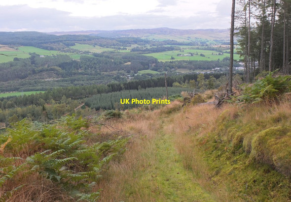 Photo 6"x4" The Tummel valley from Logierait Woods Ballinluig\/NN9752 c2014