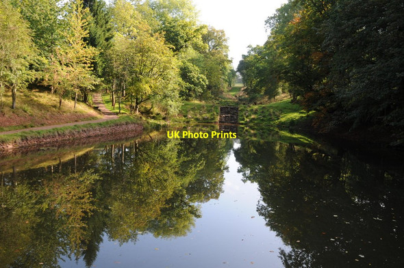 Photo 6"x4" Reflections in a pool in Hagley Park Clent c2014