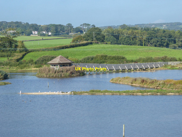 Photo 6"x4" Black Hole Marsh Nature Reserve, Devon Seaton\/SY2490 c2014