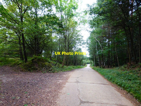 Photo 6"x4" Looking along Sunny Hill Road to the junction with Bourley Road Aldershot c2014