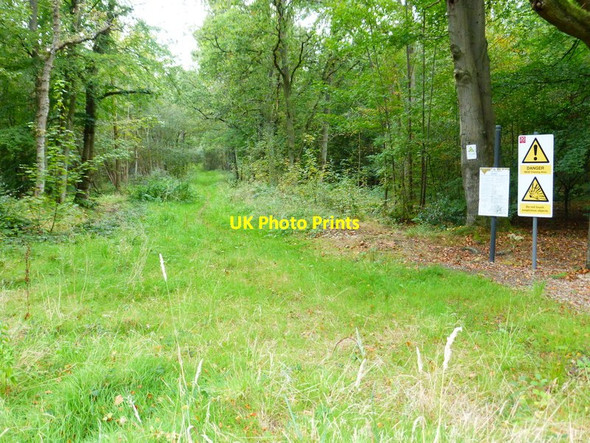 Photo 6"x4" MoD path into the woods Aldershot c2014