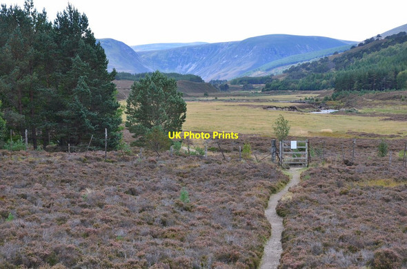 Photo 6"x4" Gateway to upper Glen Feshie Tolvah c2014
