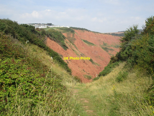 Photo 6"x4" Track to Littleham Cove Littleham\/SY0281 c2014