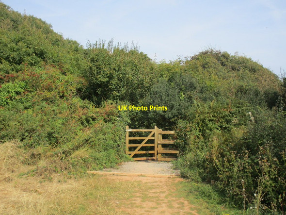 Photo 6"x4" Gate on the path Budleigh Salterton c2014
