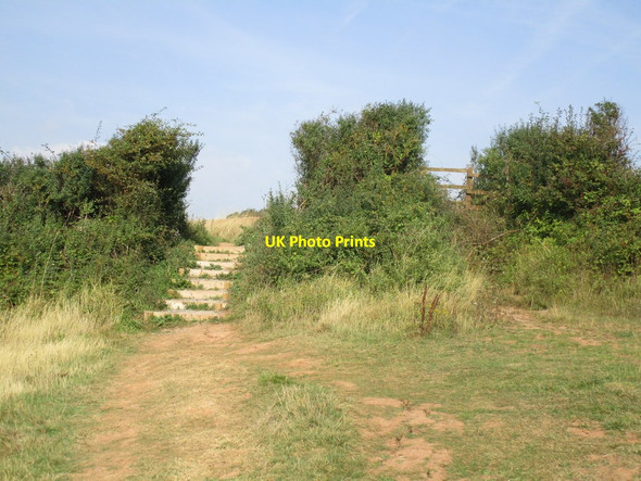 Photo 6"x4" Diverted path Budleigh Salterton c2014