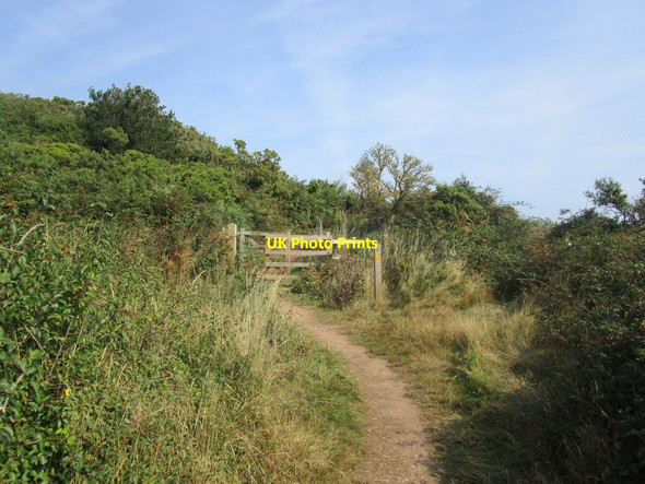 Photo 6"x4" Gate on South West Coast Path Budleigh Salterton c2014