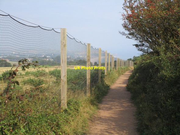Photo 6"x4" The South West Coast Path Budleigh Salterton c2014