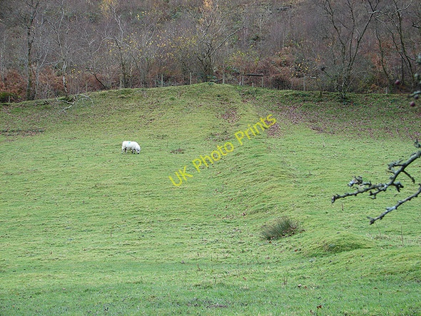 Photo 6"x4" Old fence line above Rheidol Falls Aberffrwd\/SN6878 c2008