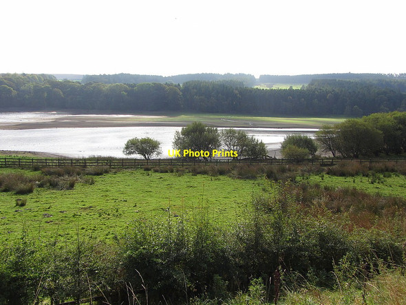Photo 6"x4" Derwent Reservoir south of Tod Hill Blanchland c2014
