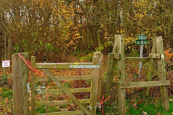 Photo 6"x4" Footpath junction Anvilles c2008