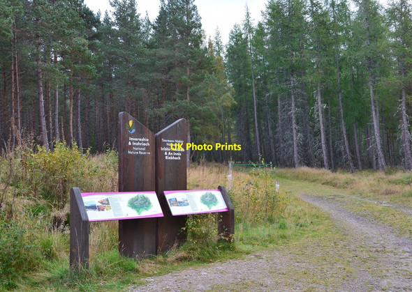 Photo 6"x4" Information boards for nature reserve Lagganlia c2014
