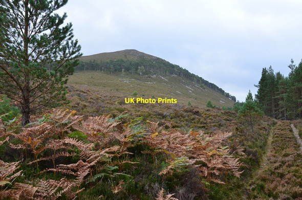 Photo 6"x4" Hill track below Creag Ghiuthsachan Tolvah c2014