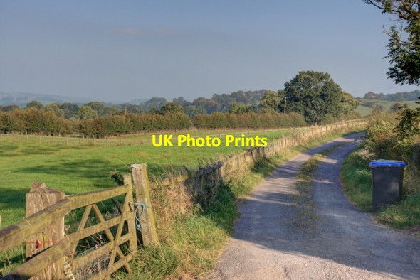 Photo 6"x4" Farm Track to Greenhouse Roche Grange c2014