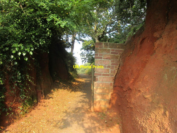 Photo 6"x4" South West Coast Path Dawlish c2014