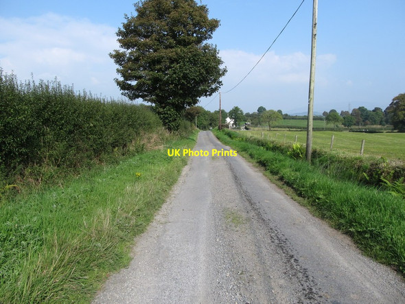 Photo 6"x4" View eastwards along East Cloghoge Road Creggan\/H9316 c2014