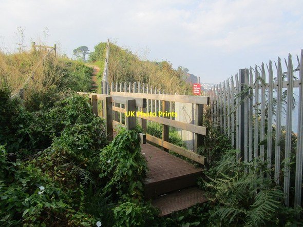 Photo 6"x4" Footbridge over a stream Dawlish c2014