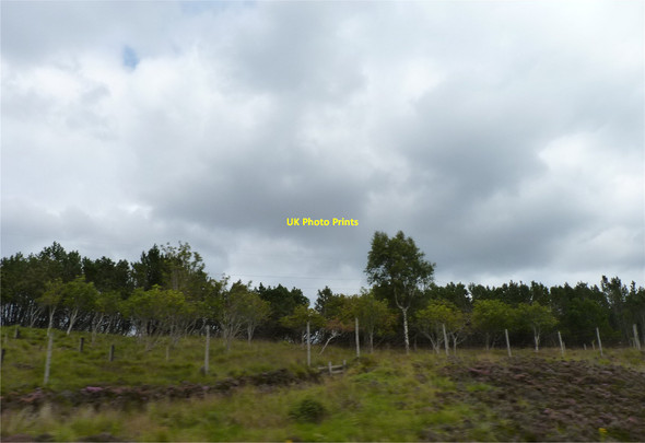 Photo 6"x4" Trees and heather General Wade's Military Road\/NN6473 c2014