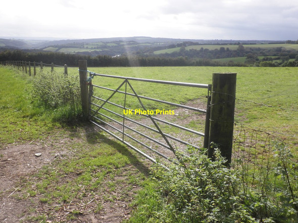 Photo 6"x4" A bright day on Tripp Farm Leighland Chapel c2014
