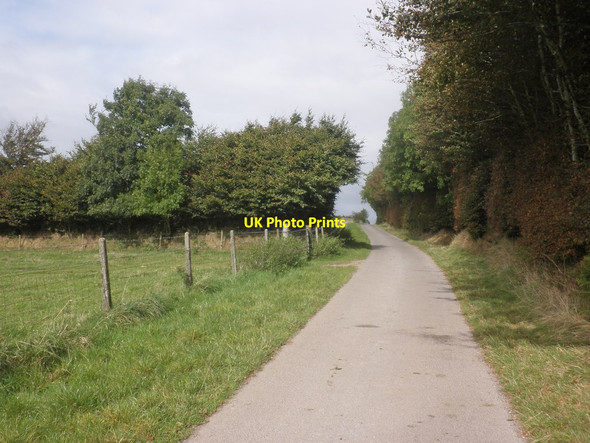Photo 6"x4" Road to Tripp Farm Leighland Chapel c2014