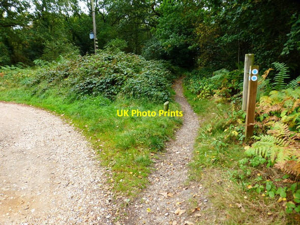 Photo 6"x4" Bridleways cross at Brandy Bottom Cricket Hill c2014