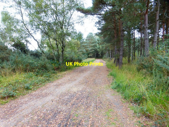 Photo 6"x4" Bridleway beside playing field on Yately Common Cricket Hill c2014