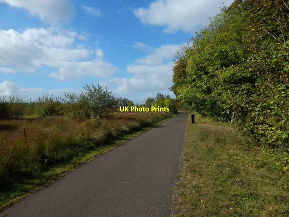 Photo 6"x4" Path in the Saltings Erskine c2014