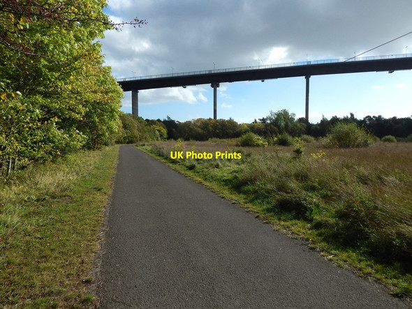 Photo 6"x4" Path in the Saltings Erskine c2014