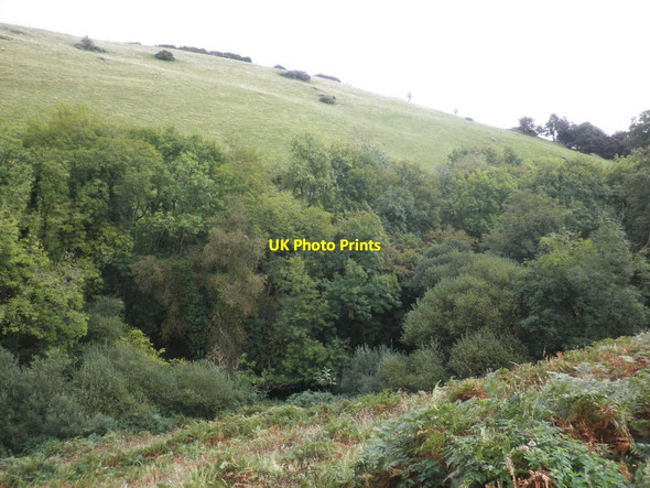 Photo 6"x4" Sedgeborough Common Clatworthy\/ST0530 c2014