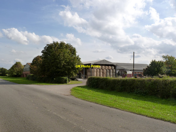 Photo 6"x4" Woodland Farm Sturton le Steeple c2014