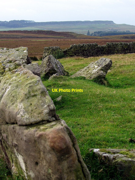 Photo 6"x4" Stone row on Standingstone Rigg Stonehaugh c2014