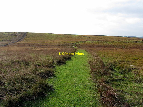 Photo 6"x4" Green track east of Standingstone Rigg Stonehaugh c2014