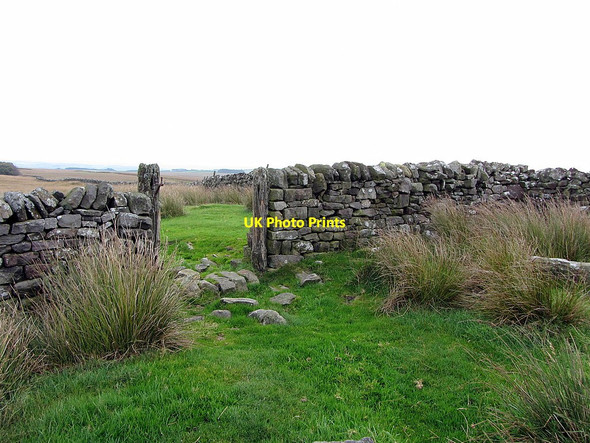 Photo 6"x4" Gate at Townshield Bank Long Rigg\/NY8172 c2014