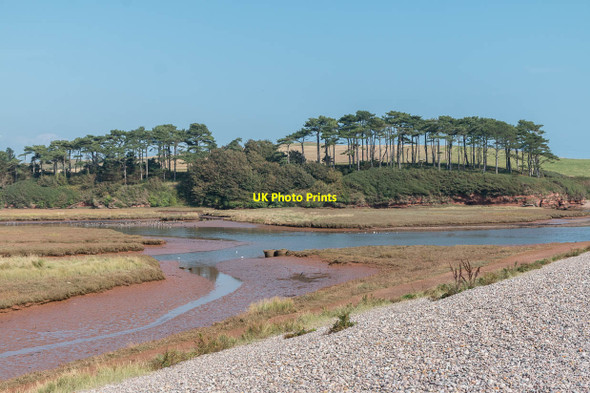 Photo 6"x4" Otter Estuary Nature Reserve, Budleigh Salterton, Devon Budleigh Salterton c2014 P2