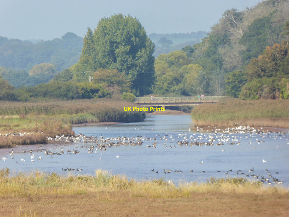 Photo 6"x4" River Otter Nature Reserve,  Budleigh Salterton, Devon Budleigh Salterton c2014