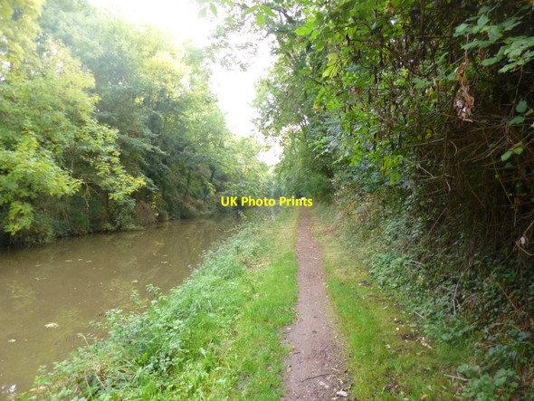 Photo 6"x4" Tibberton, towpath Oddingley c2014