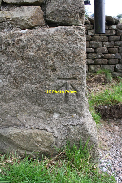Photo 6"x4" Benchmark on barn beside A683 near Foxhole Rigg Cautley c2014