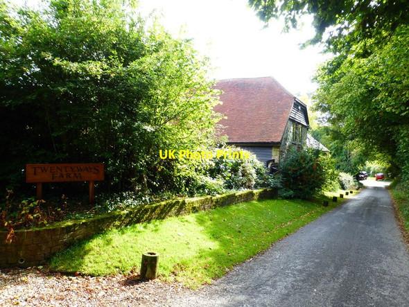 Photo 6"x4" Looking south on lane by Twentyways Farm Ramsdean c2014