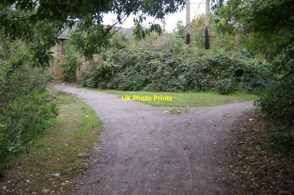Photo 6"x4" A parting of ways Frimley c2014