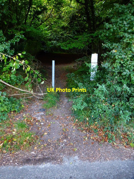 Photo 6"x4" Bridleway into Lowton's Copse Clanfield\/SU7016 c2014