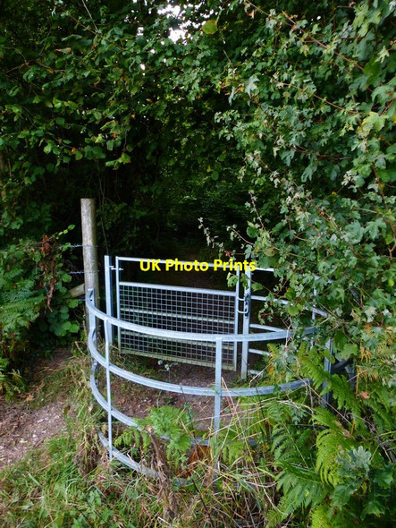 Photo 6"x4" Footpath enters Blagden Copse Clanfield\/SU7016 c2014
