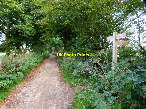 Photo 6"x4" South Downs Way looking east across path junction Clanfield\/SU7016 c2014