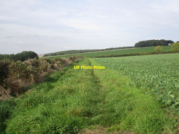 Photo 6"x4" The Yorkshire Wolds Way Kilnwick Percy c2014