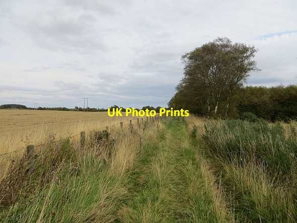 Photo 6"x4" Track, Rossie Moor Bonnyton\/NO6655 c2014