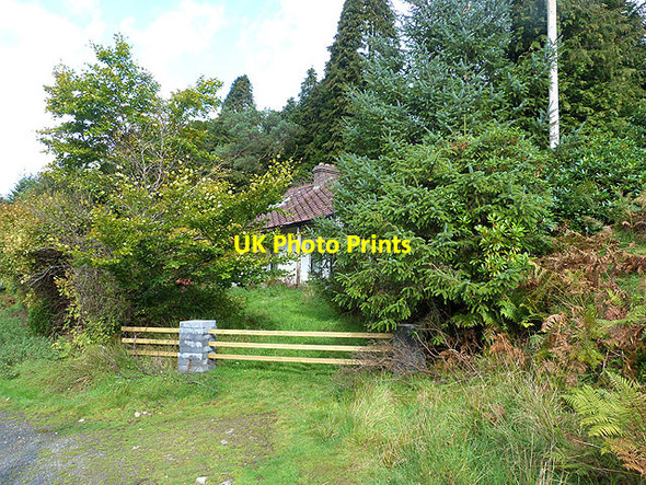 Photo 6"x4" Abandoned cottage on the slopes of Carrickashane Mountain Askanagap c2014