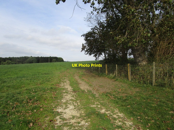 Photo 6"x4" The Yorkshire Wolds Way Londesborough c2014
