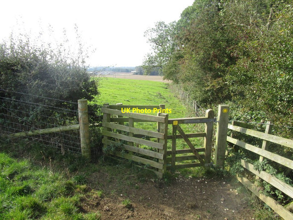 Photo 6"x4" Gate by Thorns Wood Nunburnholme c2014
