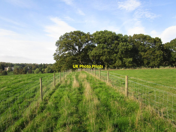 Photo 6"x4" Footpath to Kilnwick Percy Kilnwick Percy c2014