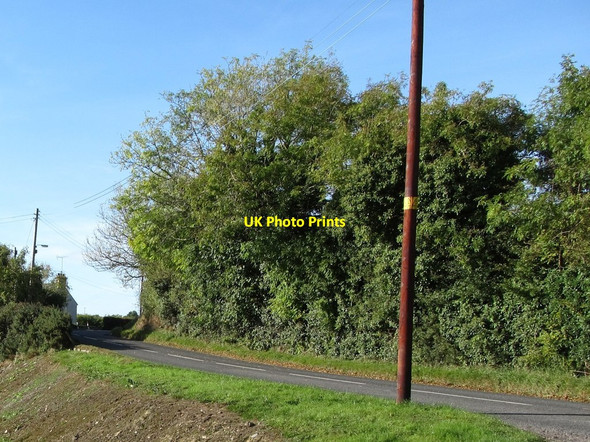 Photo 6"x4" Sharp bend in the Loughinisland Road Loughinisland c2014