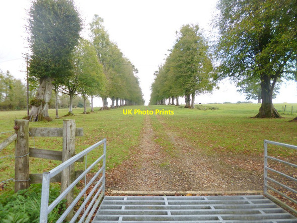 Photo 6"x4" Hale, avenue Hale\/SU1919 c2014